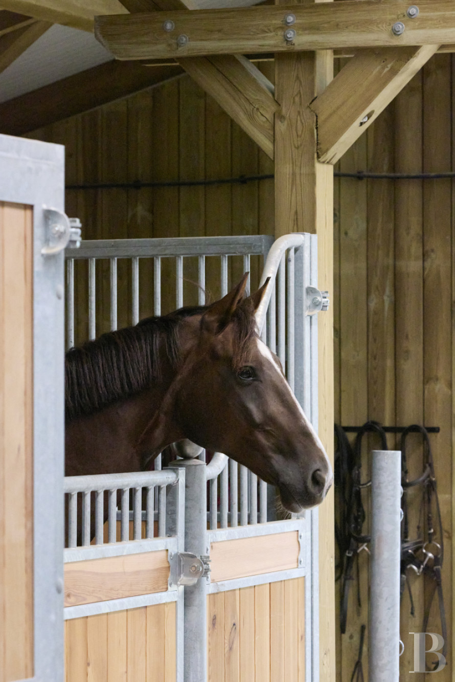 En Pays d’Auge, non loin de Lisieux, une ancienne ferme du 19e siècle transformée en paradis équestre - photo  n°19